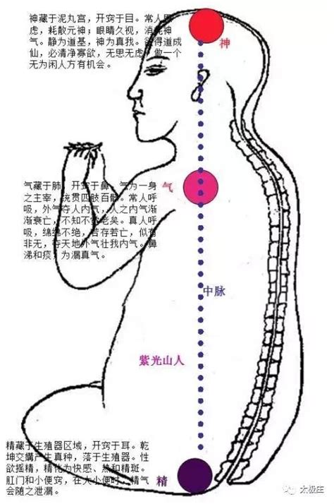 玄關竅位置|《中醫詞典》解釋「玄關一竅」的意思